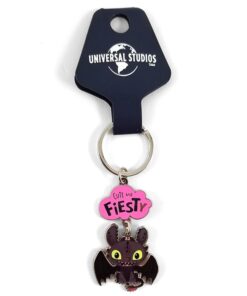 How to Train Your Dragon Universal Studios Parks Keychain Toothless Cute Fiesty