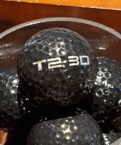 Terminator 2 T2-3D the Ride Universal Studios Parks – Golf Ball